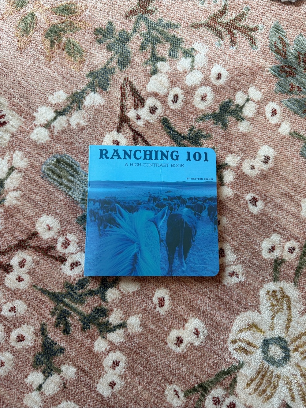 Ranching 101 High-Contrast Board Book - Blue